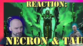 US Army Combat Veteran Reacts to Necrons and Tau! (Every single Warhammer 40k Faction by Bricky)