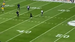 Drunk Fan Runs Onto the Field & Stops the Game then Gets Taken Down by the Turf Monster (FULL)