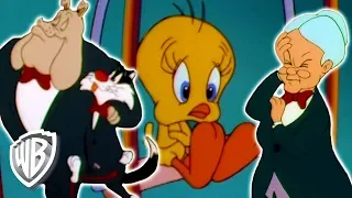 Looney Tunes en Latino | Rescatando a Piolín | WB Kids