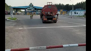 На границе с Беларусью пьяный дальнобойщик протаранил шлагбаум в пункте пропуска.
