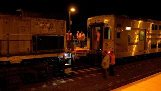 A Nighttime Rescue Operation at Kings Park