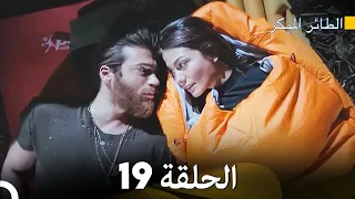 مسلسل الطائر المبكر الحلقة 19 (Arabic Dubbed)