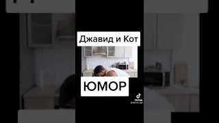 Джавид и кот