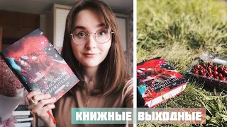 КНИЖНЫЕ ВЫХОДНЫЕ //БЛАГОСЛОВЕНИЕ НЕБОЖИТЕЛЕЙ // ПОЧЕМУ ЕЕ ВСЕ ЧИТАЮТ? 📖📚