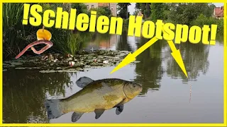 Angeln auf Schleie mit Wurm und Dosenmais erfolgreich mitPose und Grundmontage am Dorfteich #Schleie