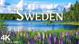 Sweden 4K UHD - Scenic Relaxation Film With Beautiful Relaxing Music (4K Video Ultra HD)