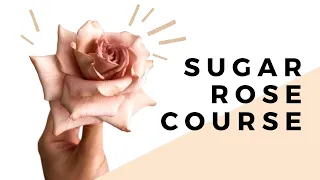 Sugar Rose Course! // Full Preview // With Finespun Cakes