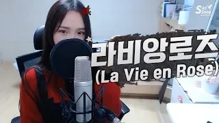 IZ*ONE(아이즈원) - La Vie en Rose(라비앙로즈) COVER by 새송｜SAESONG