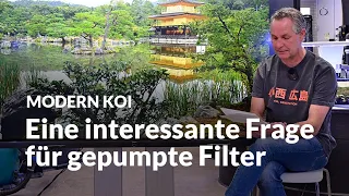 Wo positioniert man die Pumpe bei gepumpten Anlagen | Modern Koi Blog 6638