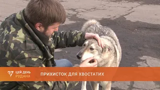 Прихисток для хвостатих - Центр поводження з тваринами