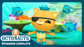 Octonauts - 🏴‍☠️ Le poisson-perroquet pirate 🐠 | Saison 1 | Épisodes complets