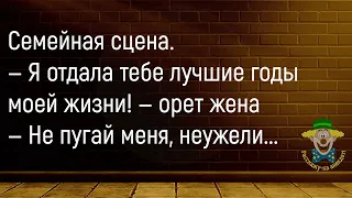 🤡Жена Будит Протрезвевшего Мужа...Большой Сборник Смешных Анекдотов,Для Супер Настроения!