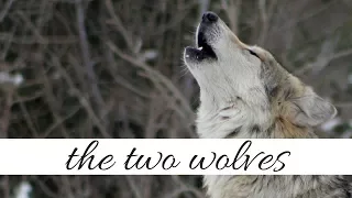 The Two Wolves | A Native American Legend