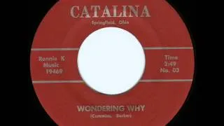 Tremors - wondering why (60's Garage)