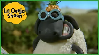 La Oveja Shaun 🐑 Ovejas de verano 🐑 Dibujos animados para niños