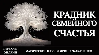 Крадник СЕМЕЙНОГО СЧАСТЬЯ. Удар по ВРАЖИНЕ. Возврат украденного.