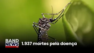 Brasil ultrapassa 4 milhões de casos de dengue | BandNews TV