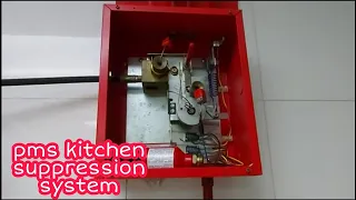 pms kitchen suppression system