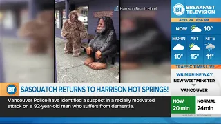 Sasquatch returns to Harrison Hot Springs