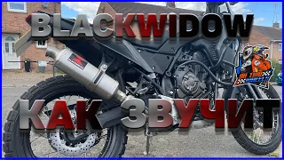 BLACKWIDOW EXHAUST КАК ЗВУЧИТ HA YAMAHA TENERE 700