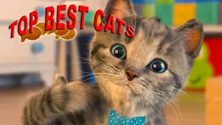 Top best cats/топ лутших котов