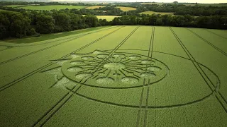 Crop Circle of 2023 in 4K | Allan King Way - Nr Owslebury | Hampshire UK | 2023-06-26