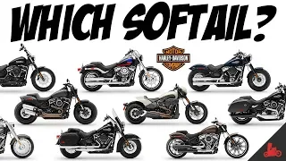 The Harley-Davidson Softail - Which One?!