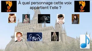 Quiz voix Harry POTTER