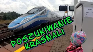 Pendolino do Wrocławia na poszukiwanie krasnali * kolejkowo.