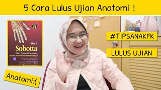 5 CARA LULUS UJIAN ANATOMI! | PRAKTIKUM ANATOMI JADI ASIK