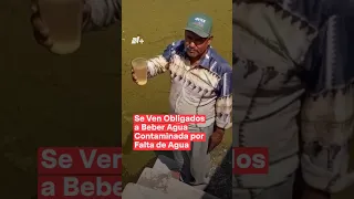 Se ven obligados a beber agua contaminada y sucia al sur de Nuevo León - N+ #Shorts