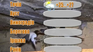 Прогноз погоди на 20 червня 2017 року