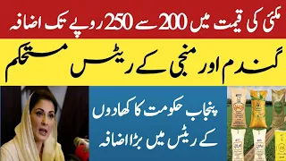 gundam rate today|wheat prince today in punjab 2024/ گندم کا ریٹ| Makki ka rate today ijaz  zone