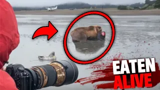 This Photographer Discovers Man Being EATEN ALIVE By Grizzly Bear!