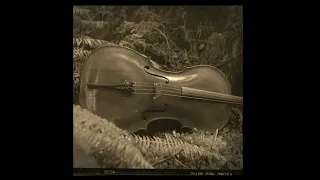 "Drift" An extremely peaceful cello soundscape.