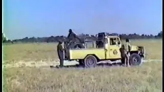 Danbo - Dan Pena on Safari in Botswana