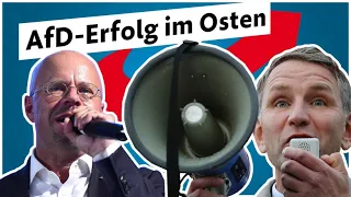 Nach AfD-Wahlerfolgen im Osten: Übernehmen Kalbitz und Höcke das Kommando?