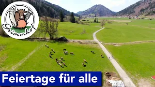 FarmVLOG#162 - Feiertage nicht nur für uns .....