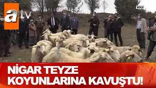 Koyunlarına kavuştu! - Atv Haber 20 Ekim 2020