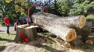 Picking up a Big Elm Log