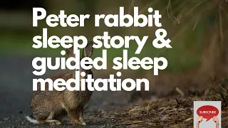 Peter rabbit sleep story and a guided sleep meditation peaceful relaxing deep sleep
