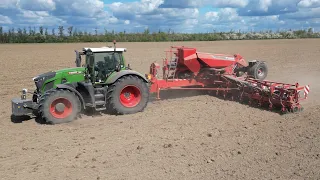 FENDT 942 mit KVERNELAND Optima TFmaxi am Mais legen / 4K