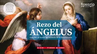 🔴ÁNGELUS. Rezo del Ángelus, oración de mediodía