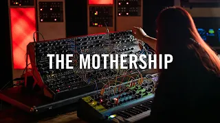 Lisa Bella Donna | The Mothership