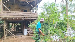 Sambel Ikan Teri, Rebus Cipir Dan Daun Singkong, Menu Sederhana Menggoda Selera