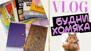 VLOG: Будни колориста 23 - Новые трекеры и покупки!Раскраски антистресс