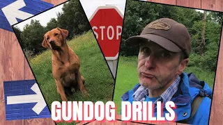 GUNDOG WHISTLE COMMANDS, LAB RETRIEVER, STOP AND DIRECTIONAL DRILLS