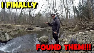 I FINALLY FOUND THEM...!!! (Philly WILD TROUT Hunt)