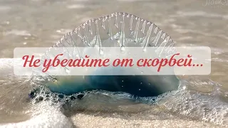 НЕ УБЕГАЙТЕ ОТ СКОРБЕЙ ❗|| стихи христианские