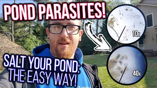 Pond Parasites - Salt Your Pond: The Easy Way!